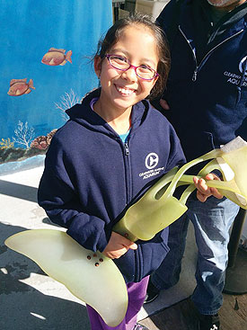 Ella with dolphin's prosthetic tail