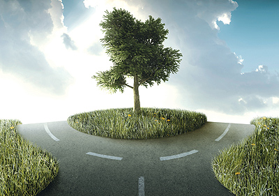tree at crossroads