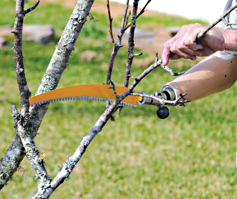 A man utilizes a pruning saw with his myoelectric prosthesis